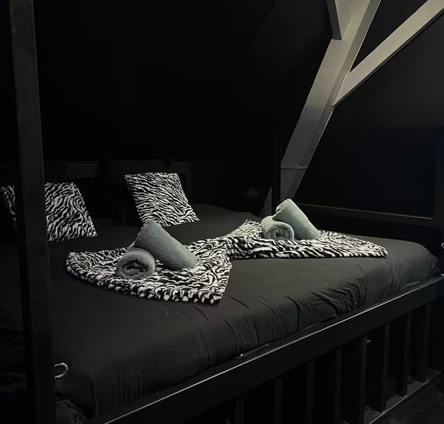 Chambre gîte Jungle Noire