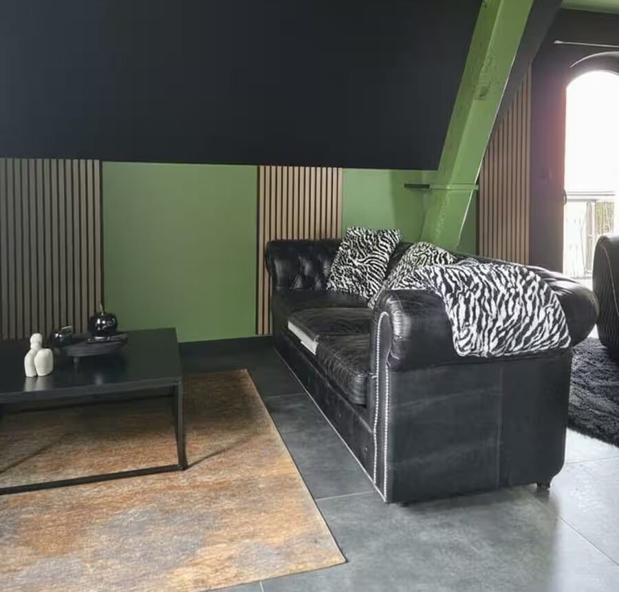 Espace salon gîte Jungle Noire