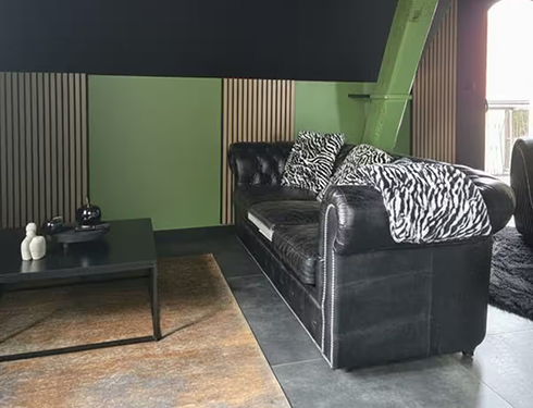 Espace salon gîte Jungle Noire